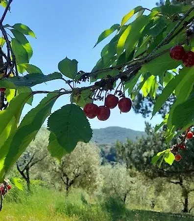 Nostro Paradiso بيت ضيافة 3*