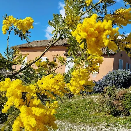 Nostro Paradiso 3*