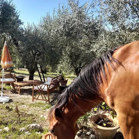 بيت ضيافة Nostro Paradiso 3*