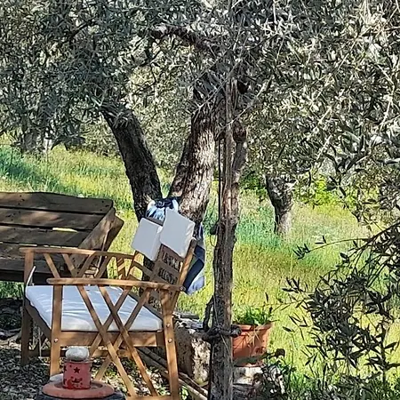Nostro Paradiso 3*